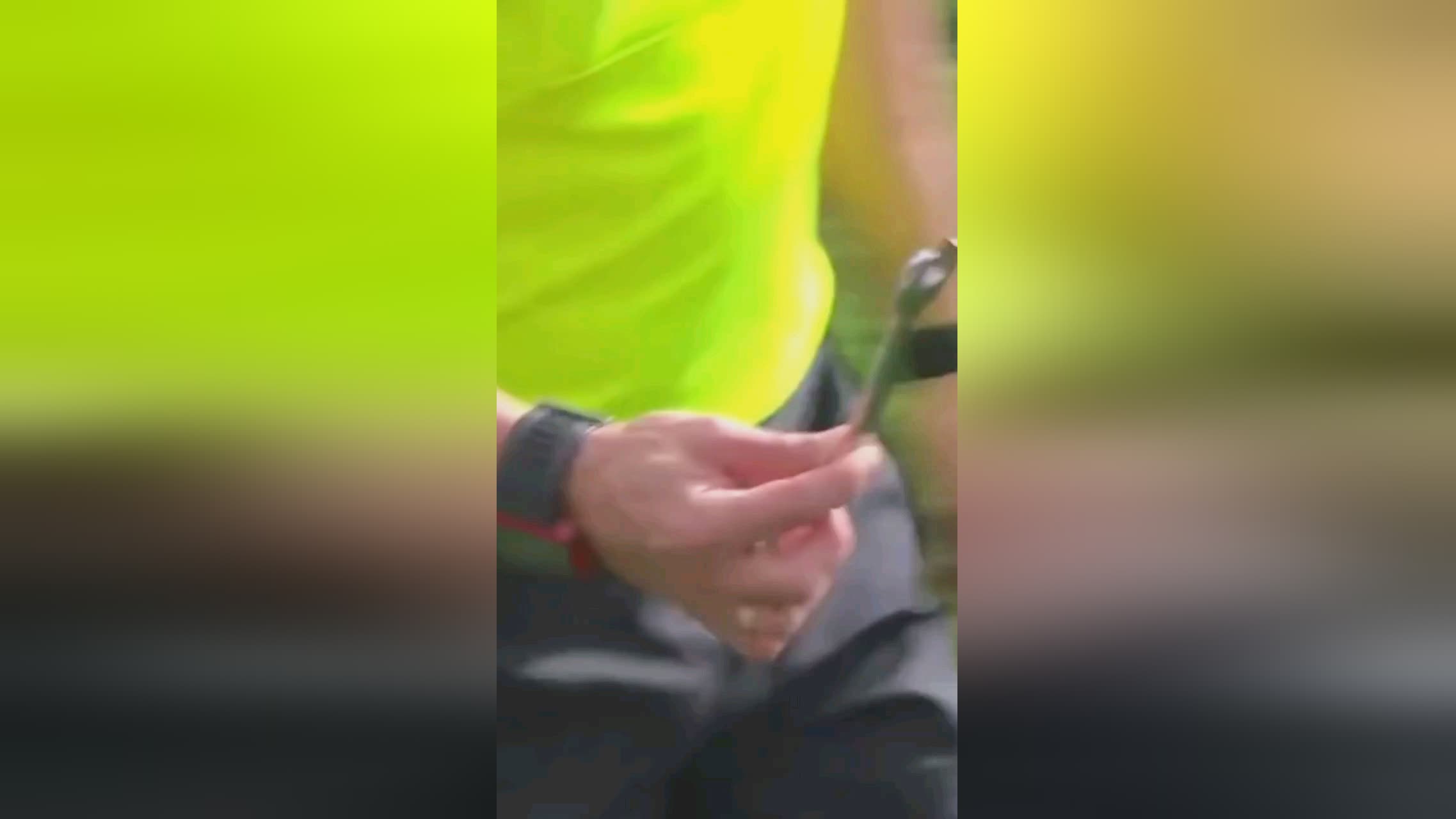虽惜
